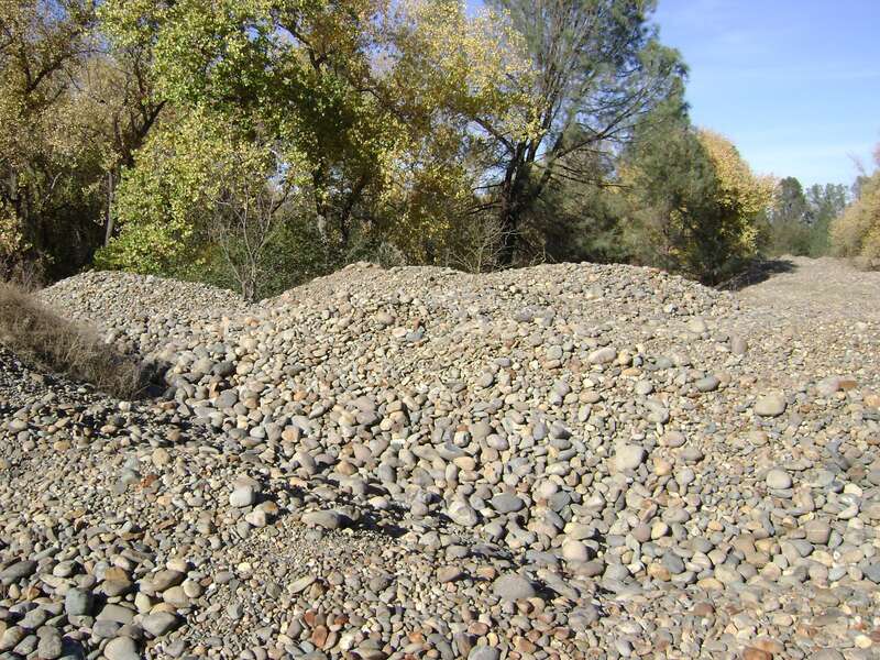 Gold dredge tailings