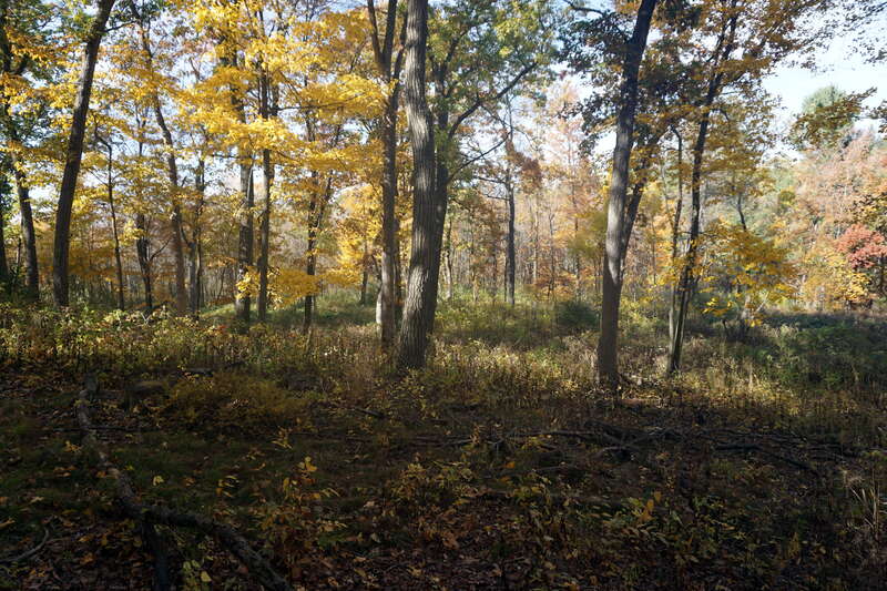 The Holy Hill Segment of the Ice Age Trail in Hubertus, Wisconsin (United States).