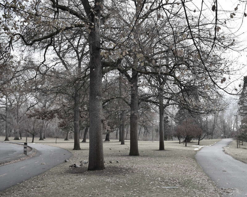 Julia Davis Park in Boise, Idaho, in December.