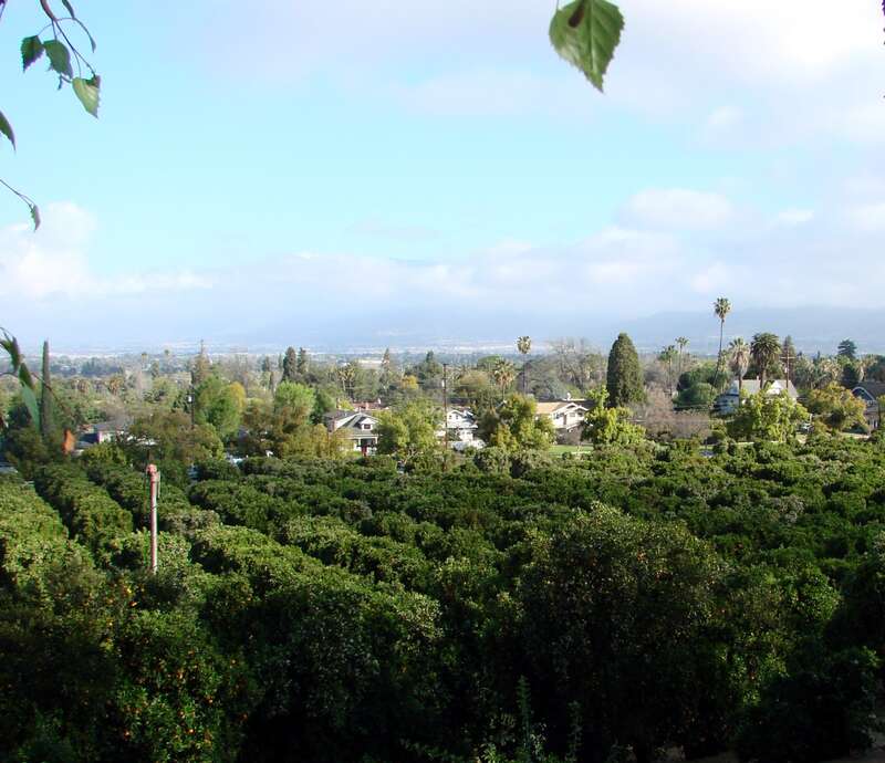 (1 in a multiple picture set)
I've taken a few other shots from this vantage point in Prospect Park looking down onto Highland Ave., but I liked the lighting on this one.