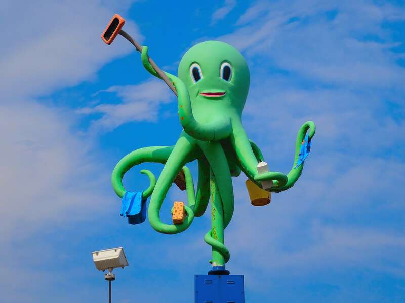 Ozzie the Octopus from Octopus Car Wash, Madison WI