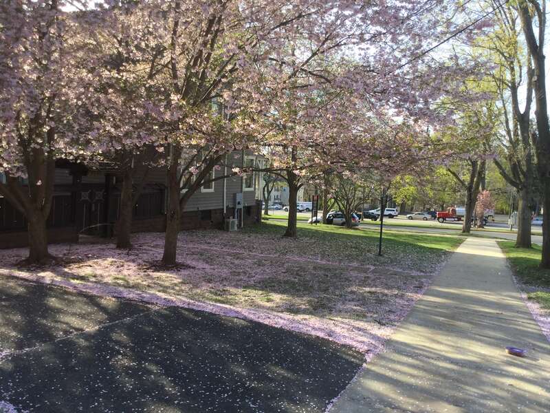 ​Shoyoan Teien of Wesleyan University