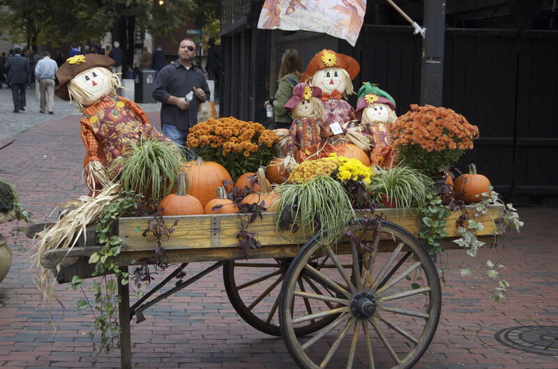 Thanksgiving display at Quincy Market