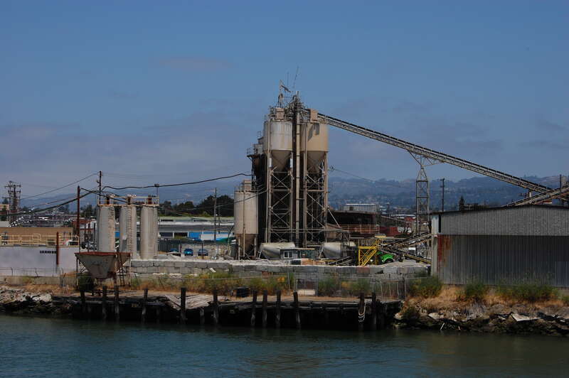 Plant. Oakland, California, USA