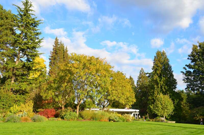 Wilburton, Bellevue, WA, USA