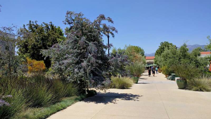 The Desert Garden here is world-famous and far exceeds every expectation. Not only are the specimens massive and rare, but they are arranged with an exceptional eye for composition. The Chinese Garden is overwhelming in its beauty, size and