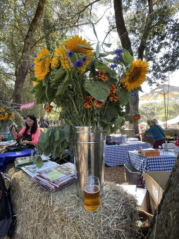 Beer and flowers at the 2022 Gravenstein Apple Fair.