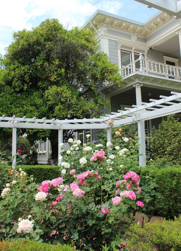 Alumni and Parent Relations - California State University, Chico, CA USA