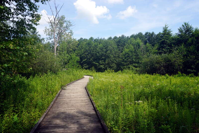 Furstenberg Nature Area in Ann Arbor, Michigan (United States).