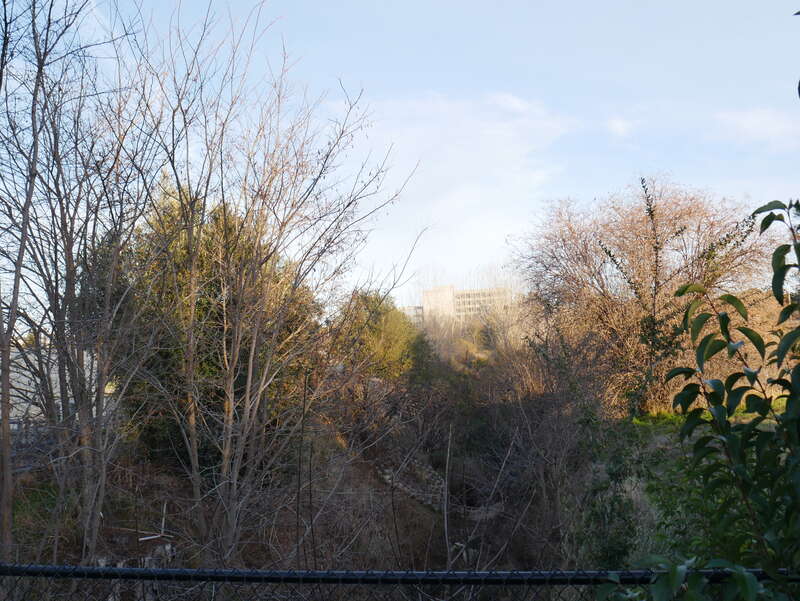 Arroyo Seco entering Sandia National Laboratory, Livermore, CA, after crossing under Vasco Road.