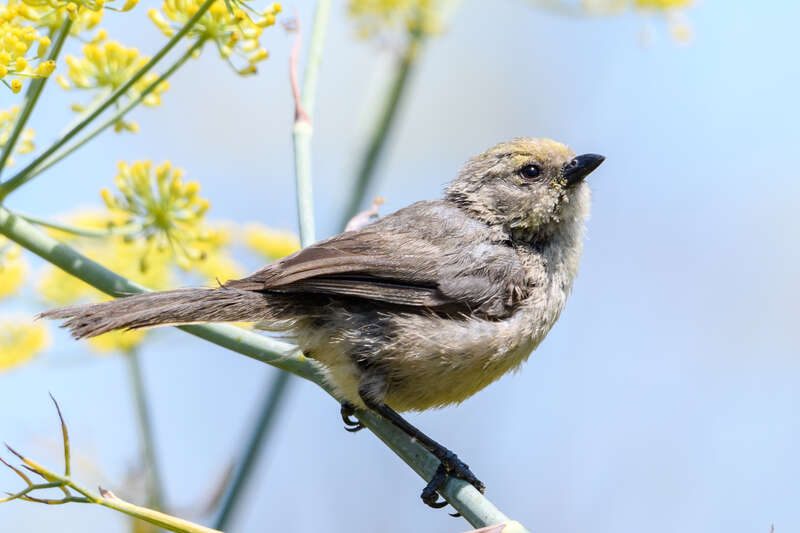 Meeker Slough, Richmond, California