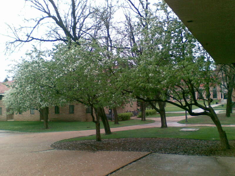 University of Colorado at Boulder campus: Kittredge Commons.