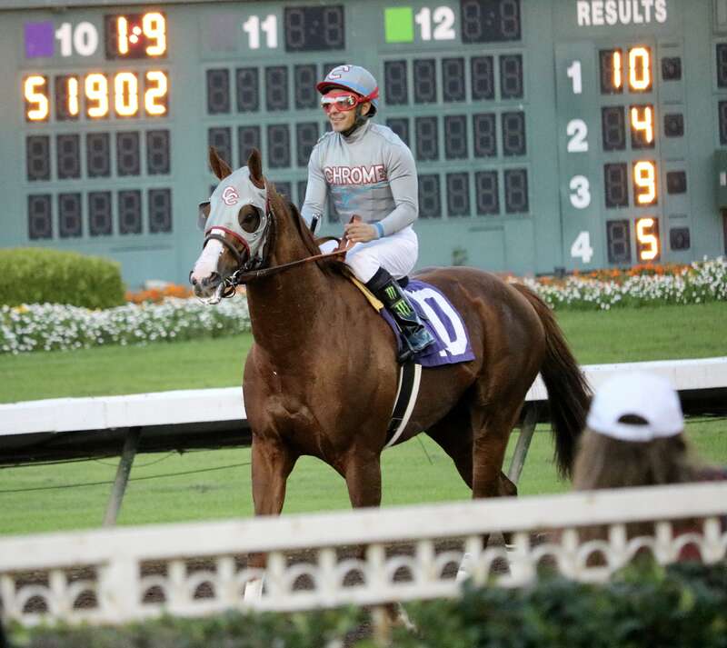 California Chrome and Victor Espinoza after winning the Winter Challenge Stakes by 12 lengths at Los Alamitos Race Track, December 17, 2016