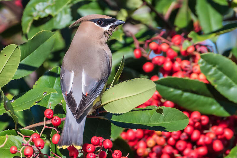 Meeker's Slough, Richmond, CA