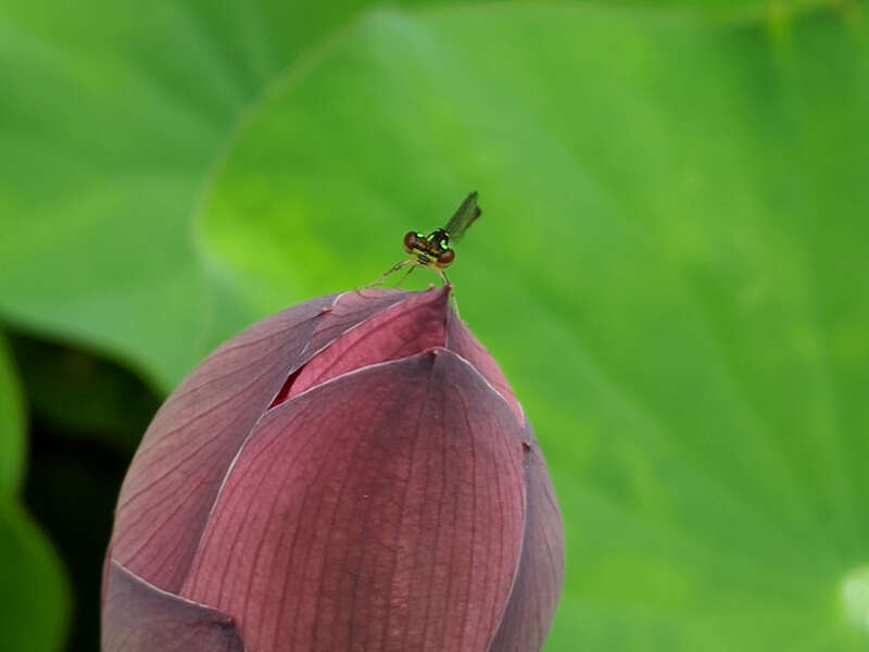 Maker:L,Date:2017-8-13,Ver:5,Lens:Kan03,Act:Kan02,E-Y