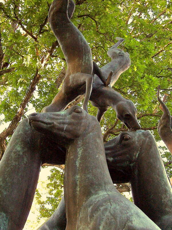 Dogs at the Art Center