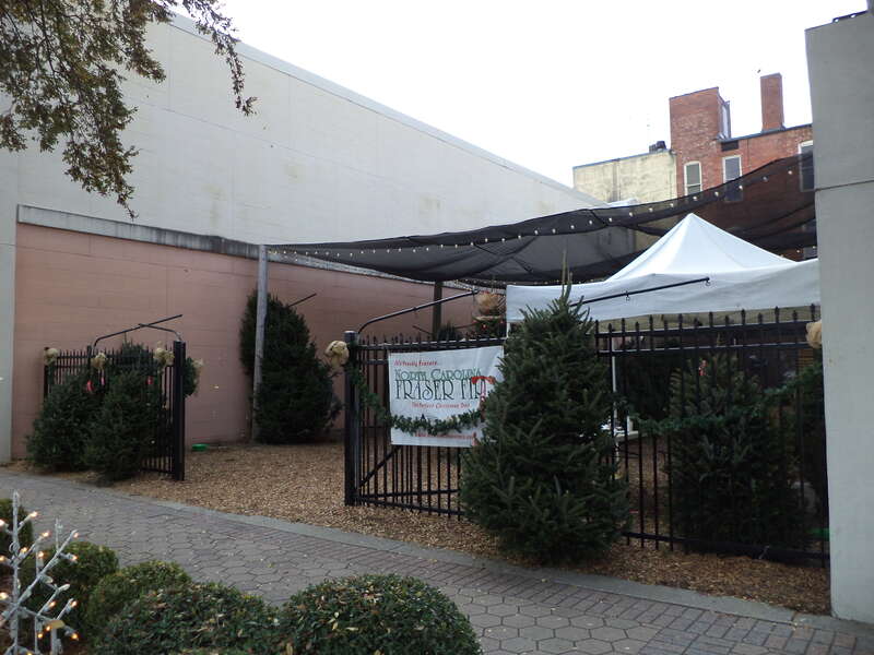 Downtown Valdosta Christmas Tree lot, Valdosta, Lowndes County, Georgia