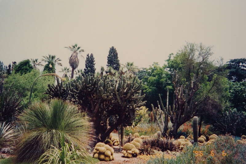 Florida Botanical Gardens  佛羅里達植物園