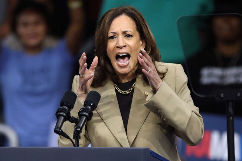 Vice President of the United States Kamala Harris speaking at a campaign rally at Desert Diamond Arena in Glendale, Arizona.
Please attribute to Gage Skidmore if used elsewhere.
