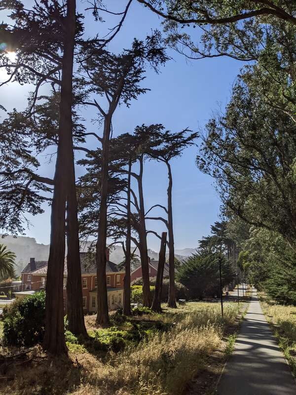 "The oldest footpath through the Presidio, Lovers’ Lane was established in the 18th century as a shortcut used by Spanish soldiers and missionaries to get from the Main Post to Mission Dolores, located three miles south of the Presidio. Today, you’ll