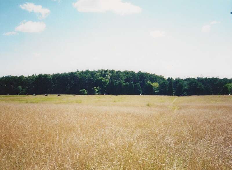 Manassas National Battlefield Park in Manassas, Virginia (United States).