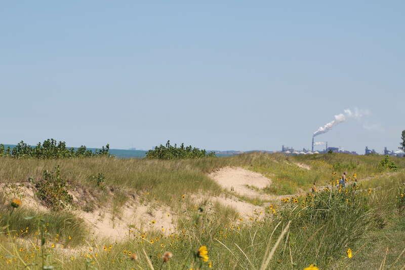 Dunes along Lake Michigan shoreline in Marquette Park, Gary, Indiana.