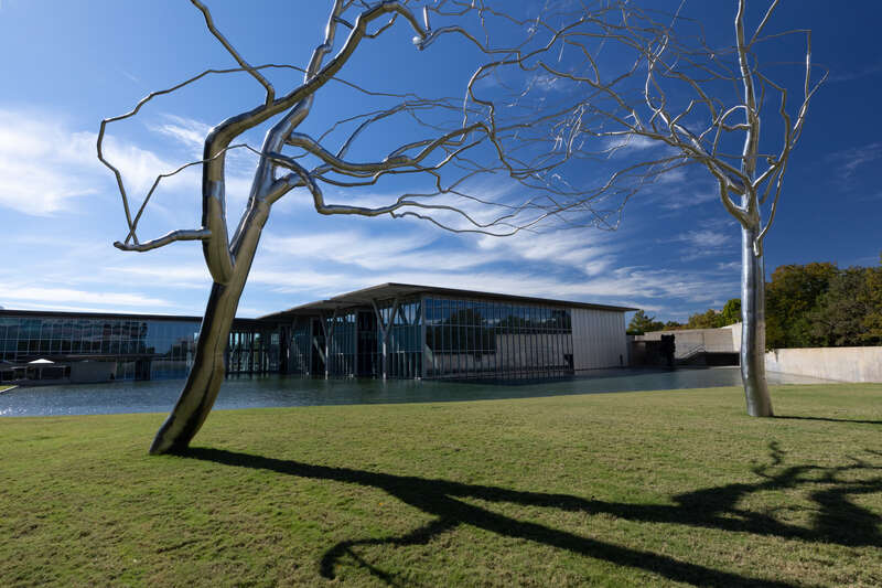 Metal trees in the garden on the Modern Art Museum of Fort Worth