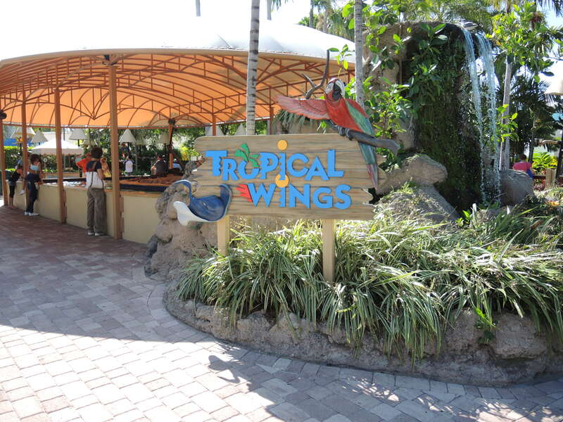 Miami Seaquarium: Tropical Wings