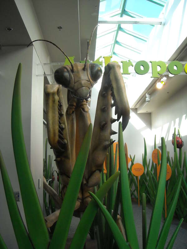 NC Museum of History, Raleigh, NC