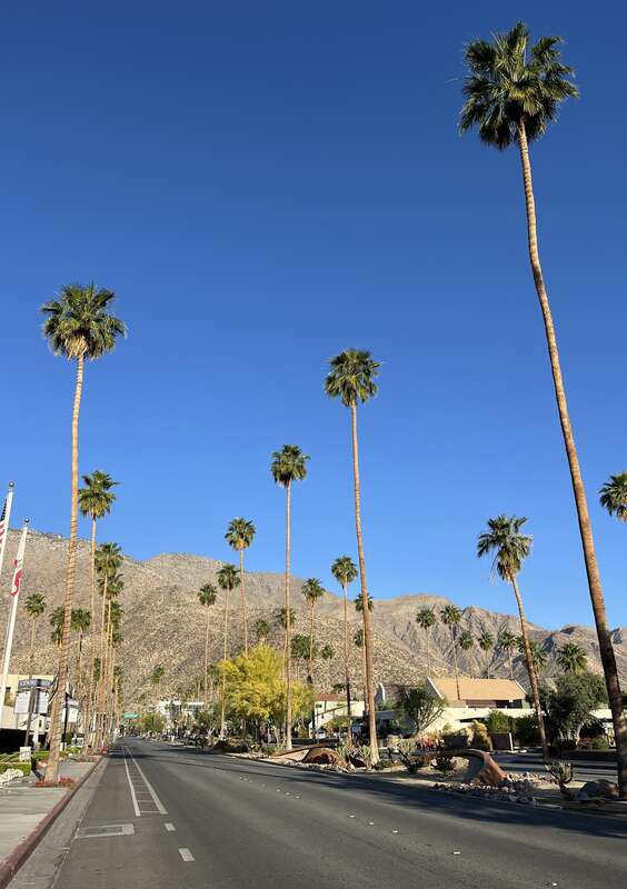 Palm Springs, CA, 2024