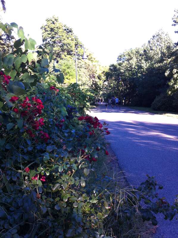 Powder House Square, Somerville, MA, USA