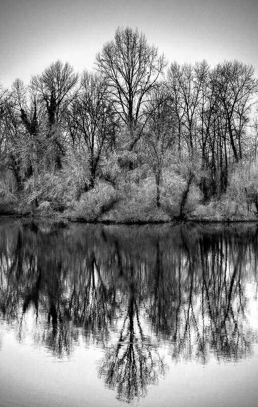 &quot;She also considered very seriously what she would look like in a little cottage in the middle of the forest, dressed in a melancholy gray and holding communion only with the birds and trees; a life of retirement away from the vain world; a life into