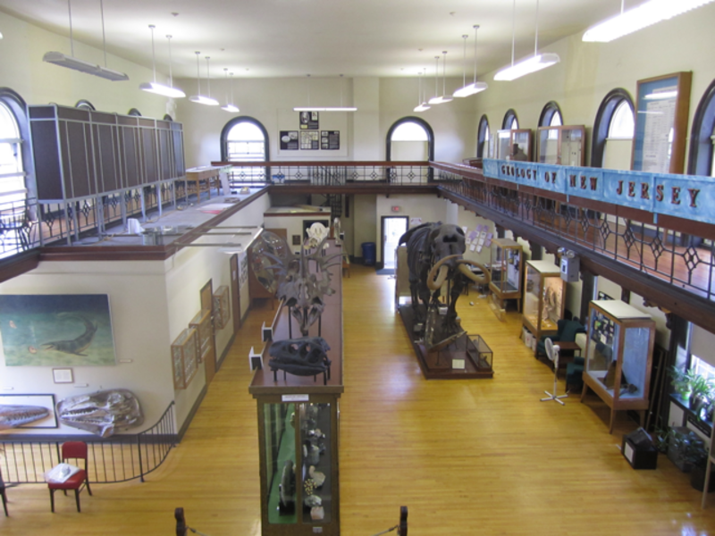 The interior of the Rutgers Geology Museum in 2011
