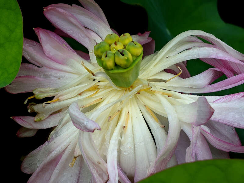 Maker:L,Date:2017-8-13,Ver:5,Lens:Kan03,Act:Kan02,E-Y