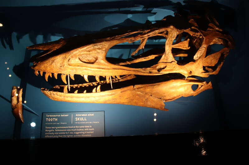 Perot Museum of Nature and Science, Dallas, Texas. Complete indexed photo collection at WorldHistoryPics.com.