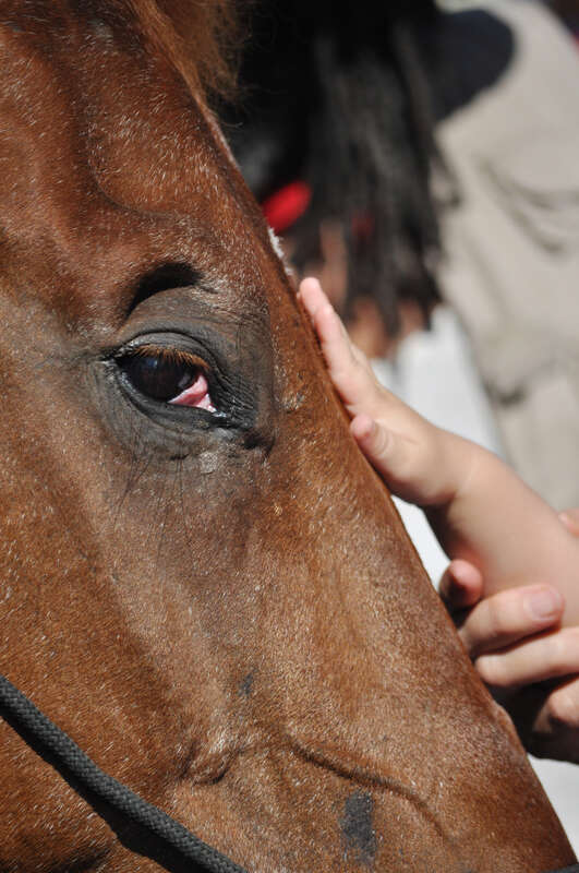 Target High Line Street Festival, NYC