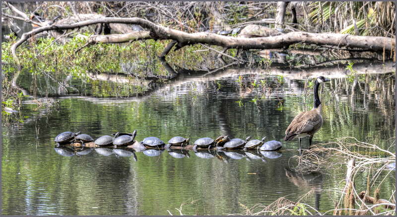 Not much room left; everyone wants to get some morning sun.