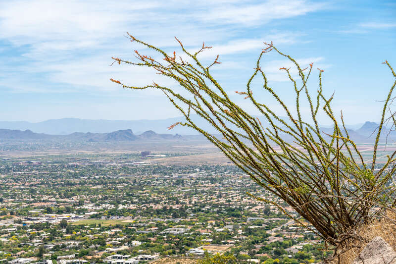 View from Camelback Mountain