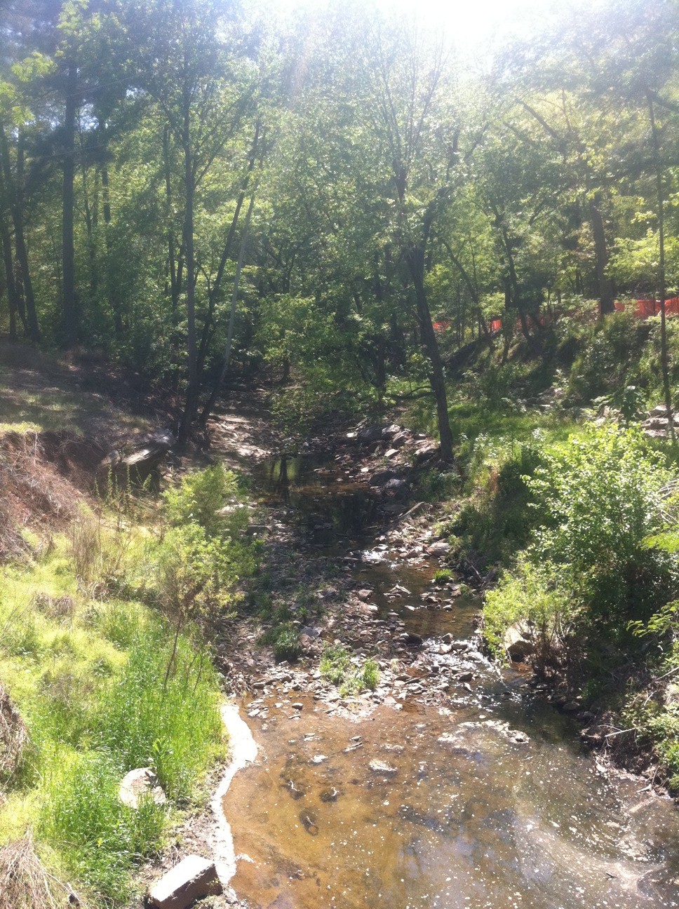 Clear Creek through Northwoods Piedmont Park Atlanta