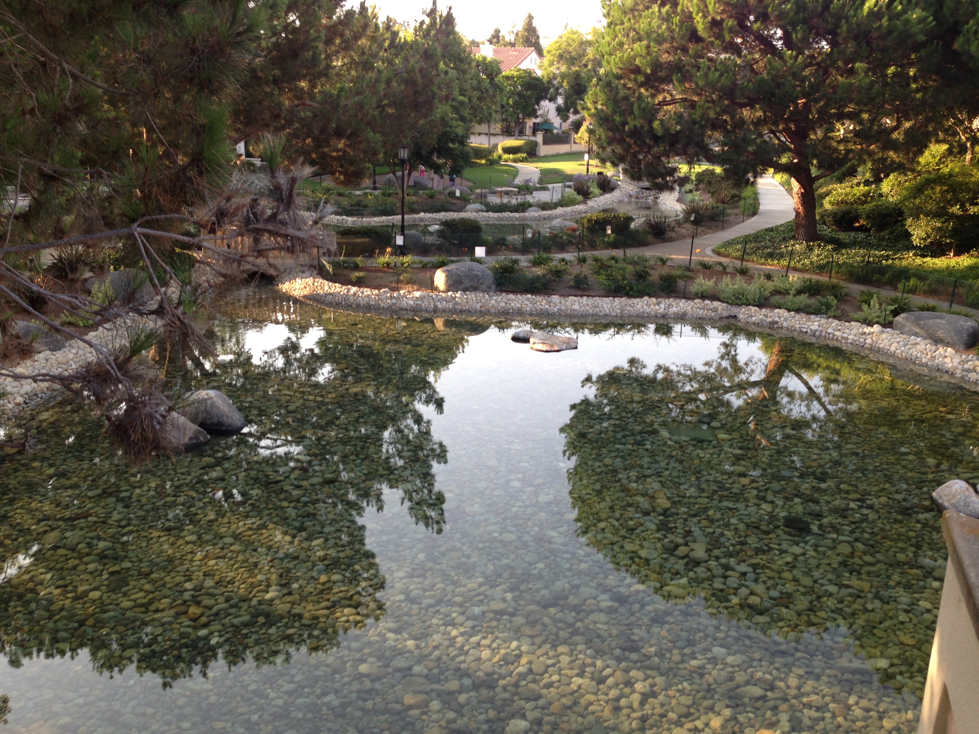 The gardens behind the Andira community in San Diego, California