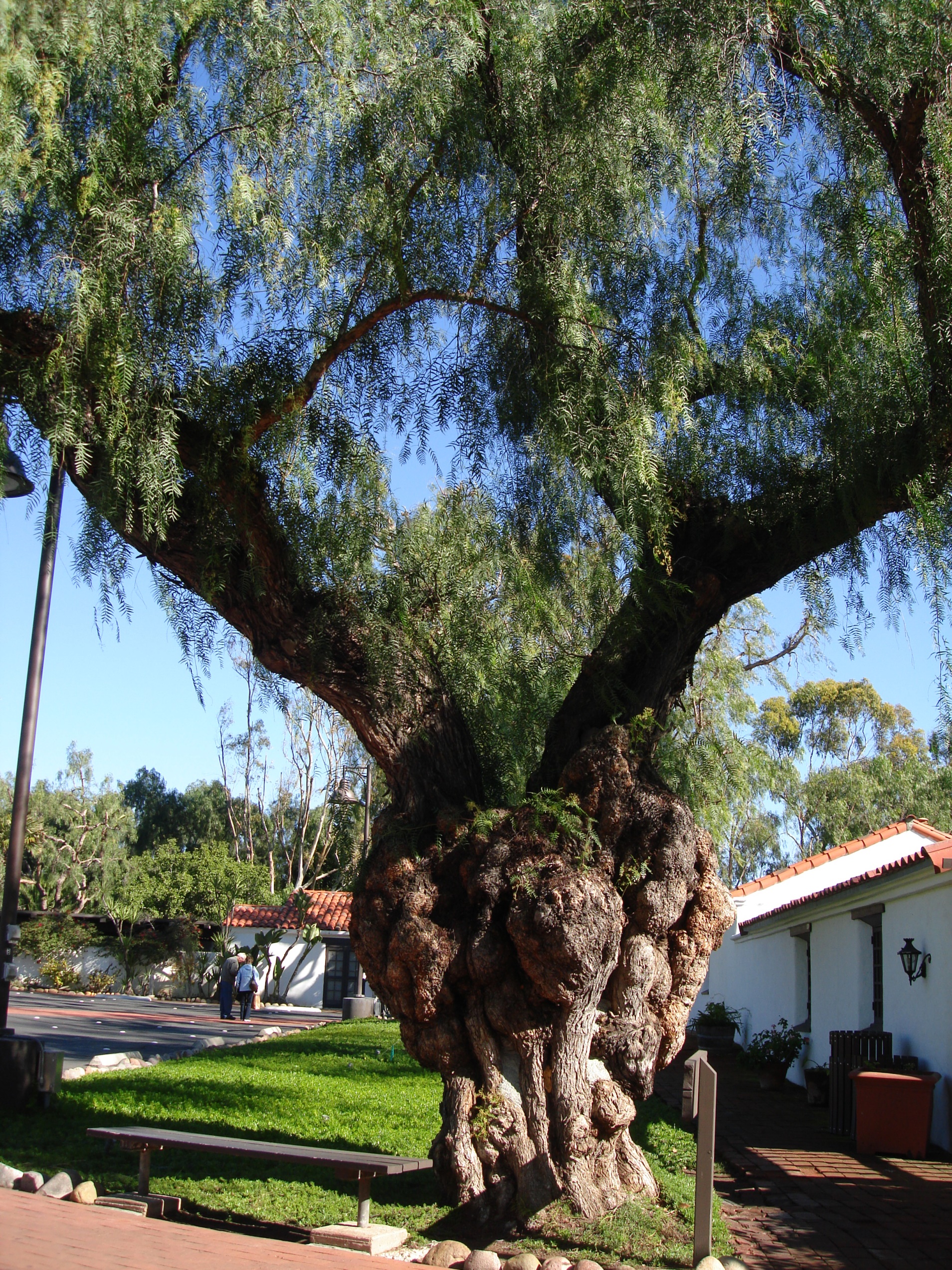 San Diego, CA USA - Mission San Diego de Alcala *1769 *