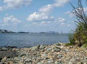 Boston skyline from shore of Webb Memorial Park