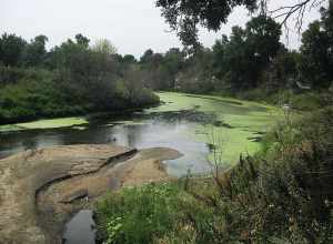 Eastwood Park Historic District, Bounded by Old Souris Oxbow Minot