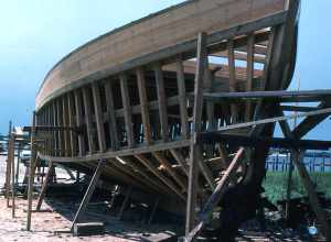 Local call number: FA1283Title: Bow of the Miss Joann from the starboard side during construction: Mayport, FloridaDate: July 13, 1985Accompanying note: "Construction of 54 foot shrimp trawler, Miss Joann, by brothers Charles, Donald, and Thomas