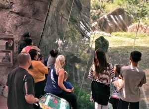 One of several viewing locations within the Campo Gorilla Reserve at the Los Angeles Zoo.