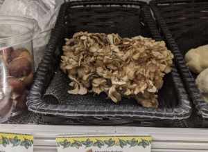 An example of cultivated grifola frondosa, also known as "hen of the woods" mushrooms, in an organic market in Springfield, Pennsylvania.