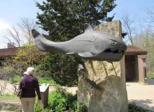 Dunkleosteus existed during the Late Devonian period, about 360–380 million years ago. Fossils have been found in the shales in the Rocky River valley.