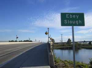 Ebey Slough Bridge