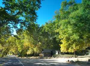 Indian Gardens.
Fall color November 8, 2017 in Oak Creek Canyon, along Arizona State Route 89A north of Sedona, Arizona. 

Photo by Deborah Lee Soltesz. Credit U.S. Forest Service Coconino National Forest.