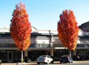 The historic Farrar Building (built ca. 1917), located at 351–373 State Street in Salem, Oregon, United States, is listed on the US National Register of Historic Places. It is additionally listed as a contributing resource in the National